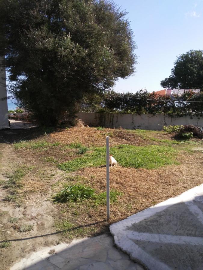 Apartament Dimitris Messongi *